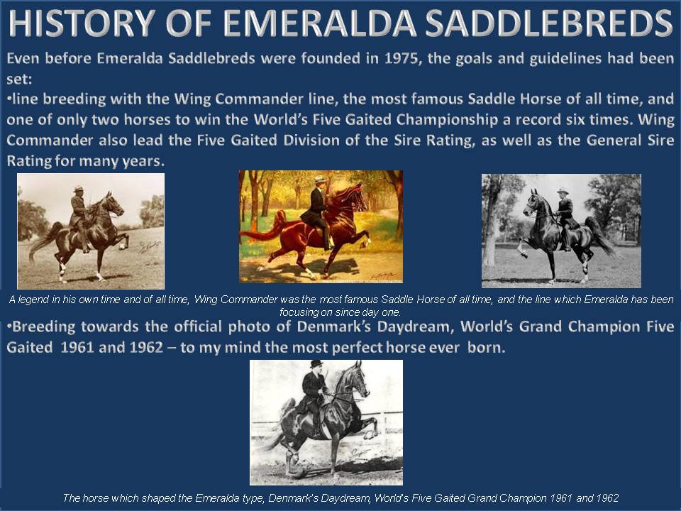 HISTORY OF EMERALDA SADDLEBREDS 1